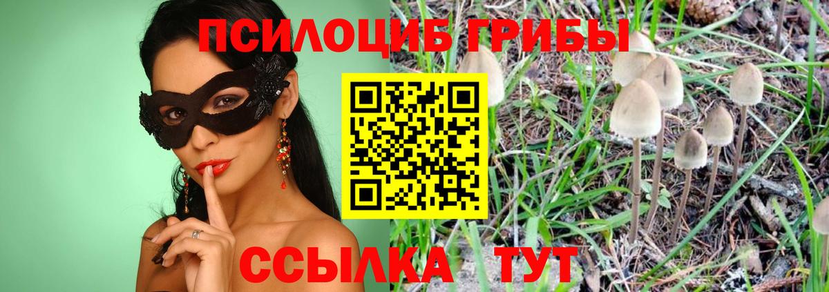 Нефтеюганск  как найти закладки  Вход с VPN  Галлюциногенные грибы MAGIC MUSHROOMS 